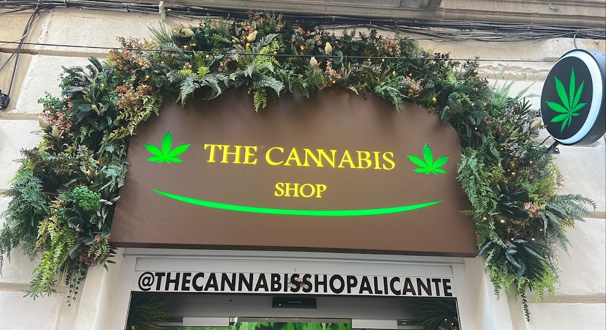 The Cannabis Shop by Hemp Brothers