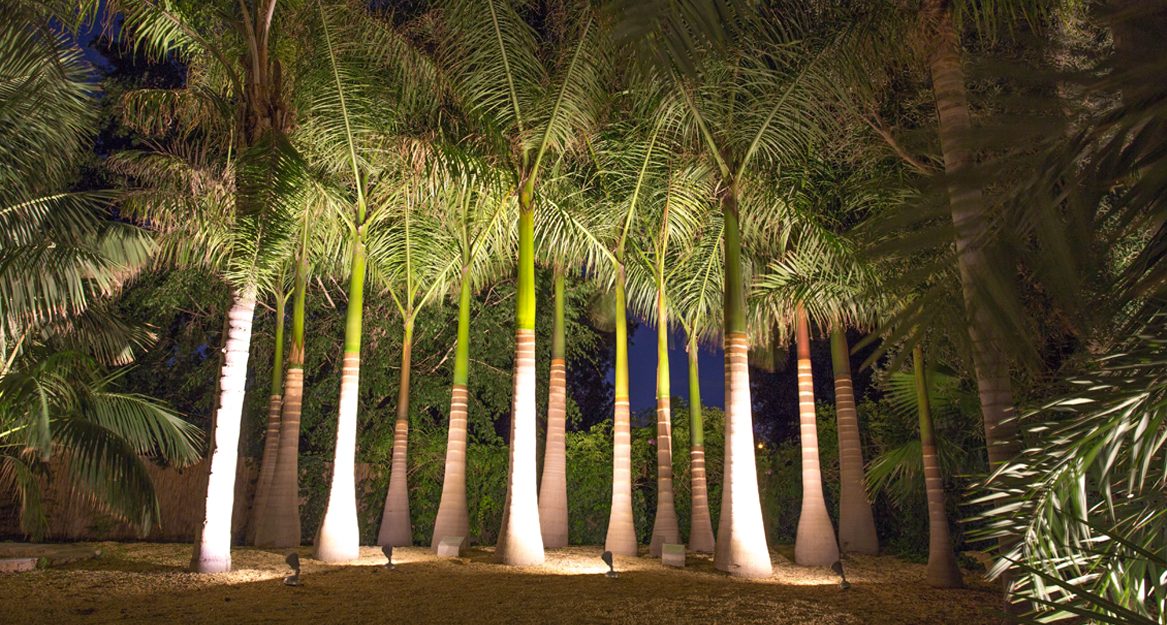 Apto. El Palmeral de Madaria