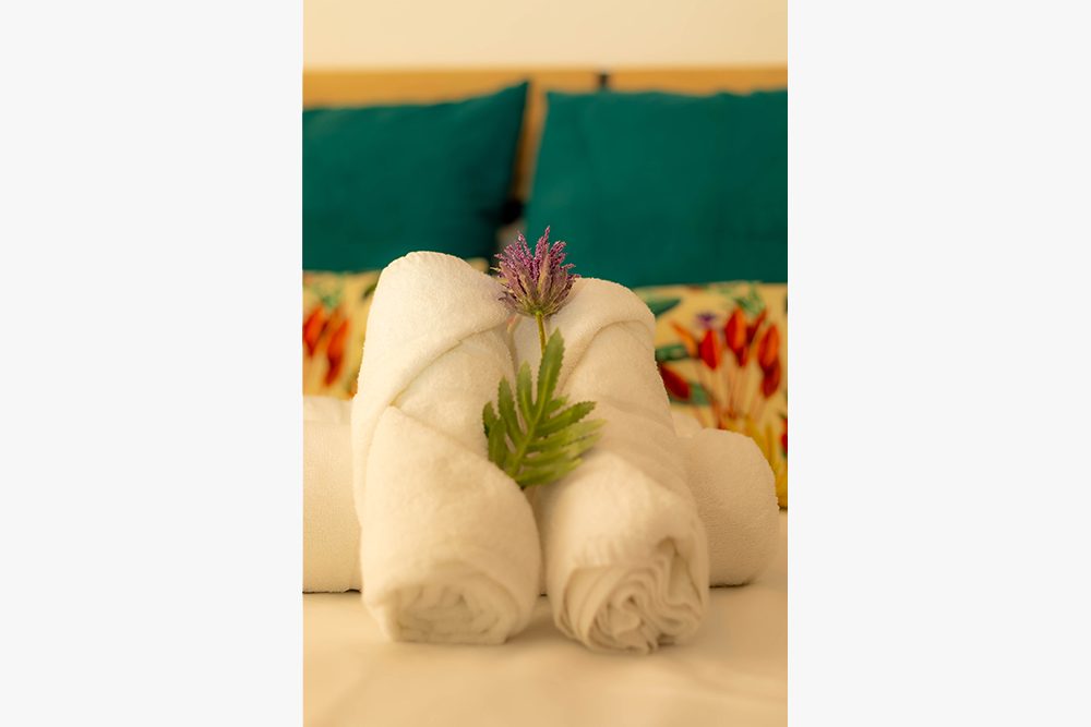 Hostal Ventura Premium foto 3
