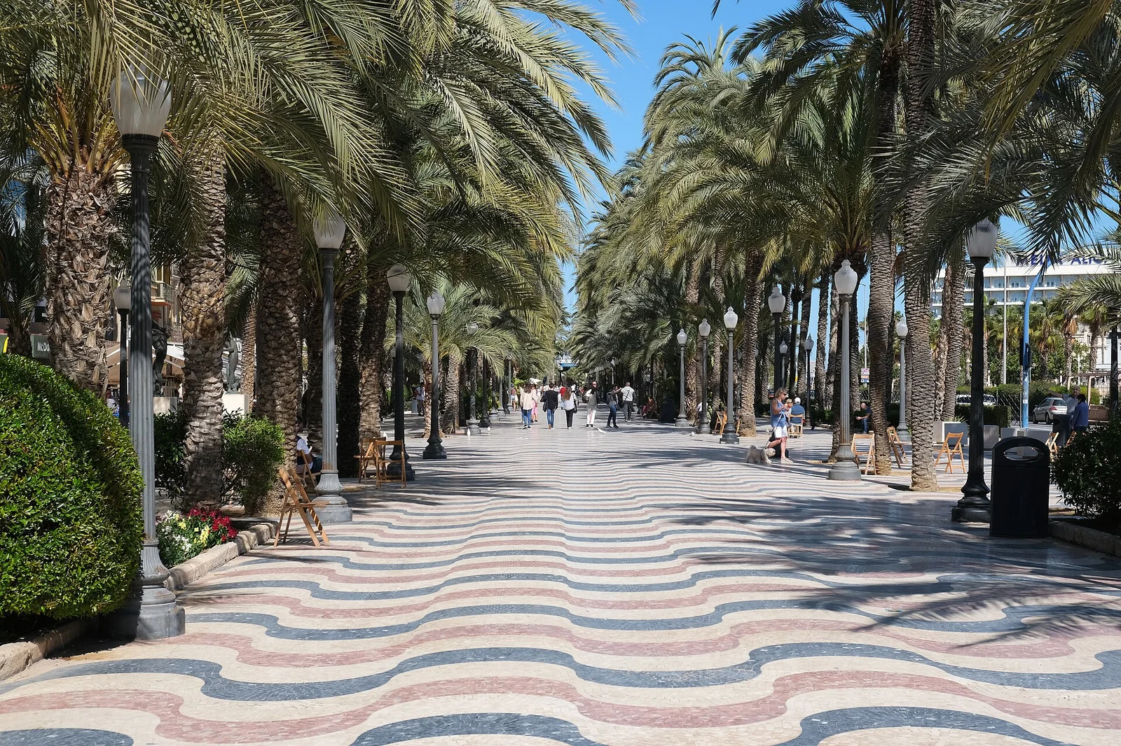 Explanada de España: paseo con palmeras y mosaico ondulado
