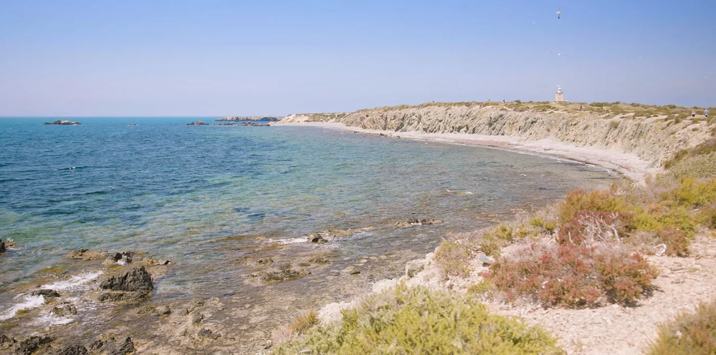 Gastronomía marinera en Tabarca